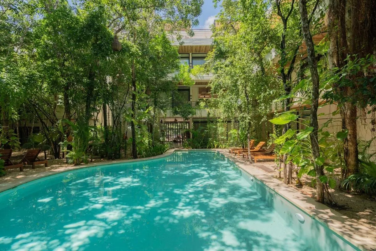 Acinte Apartman Tulum