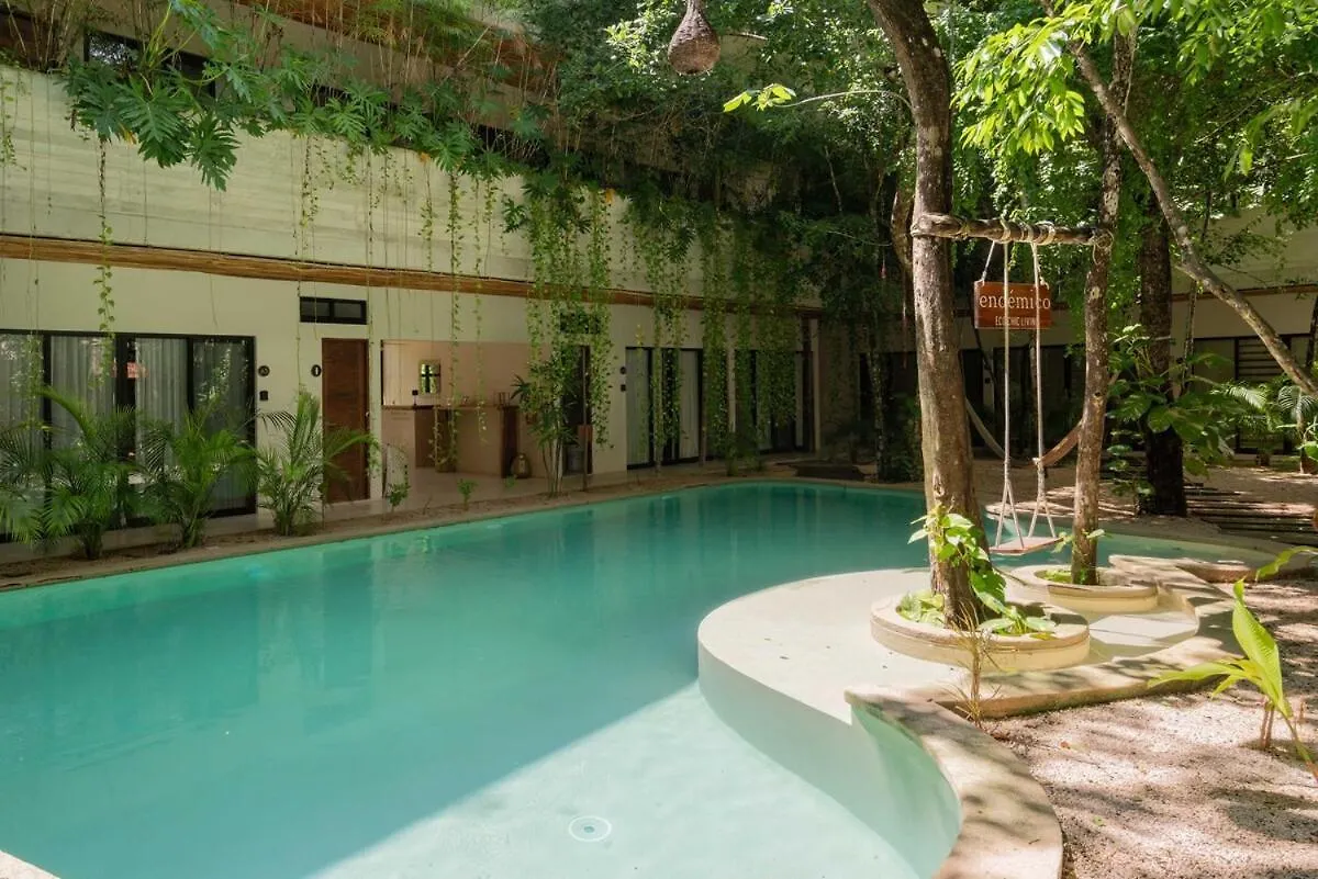 Acinte Apartman Tulum