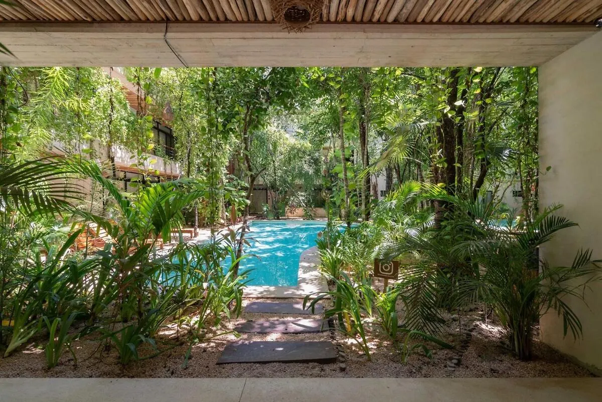 Acinte Apartman Tulum