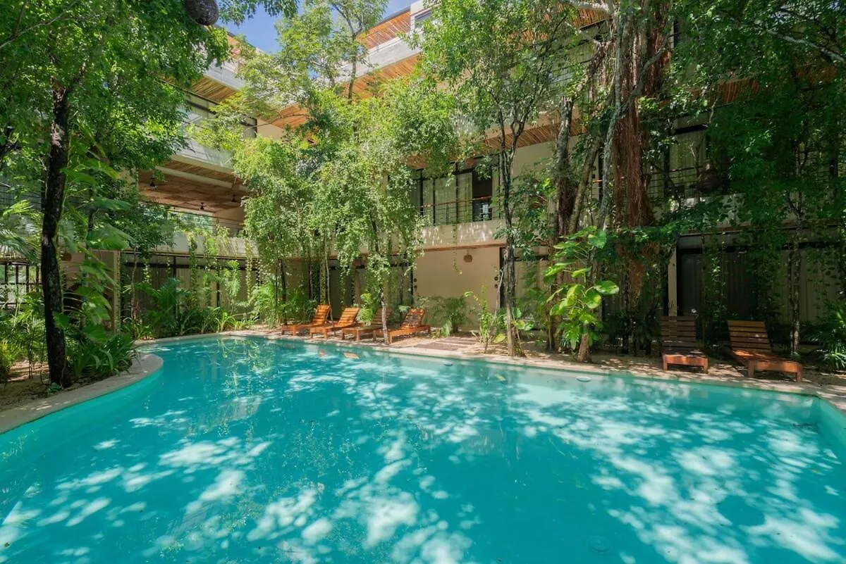 Acinte Apartman Tulum